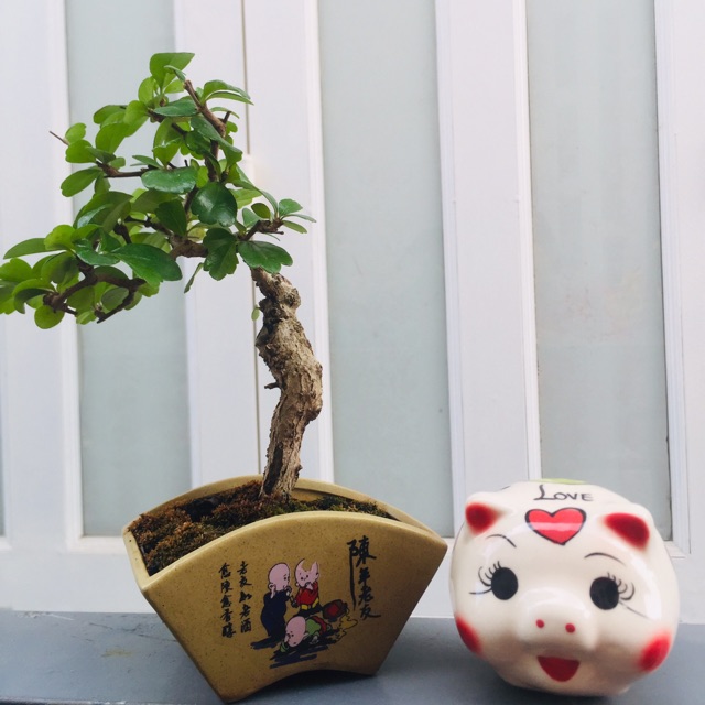 Heo đất handmade mini Tròn