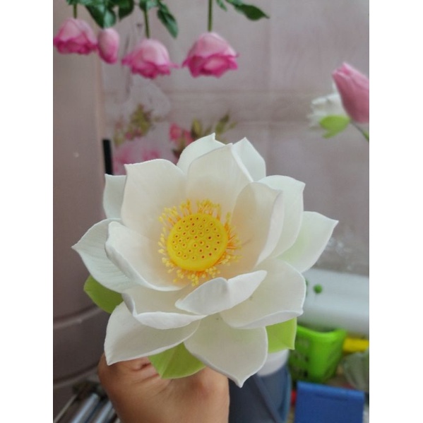 GÂN SILICON CÁNH SEN