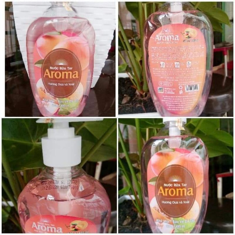 Nước rửa tay Aroma hương dưa xoài 500g