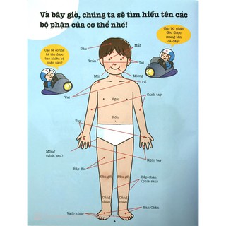 Sách - BeeBoooks – Khám phá bí ẩn cơ thể người