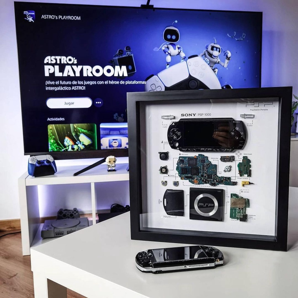 Tranh tiêu bản PSP 1000
