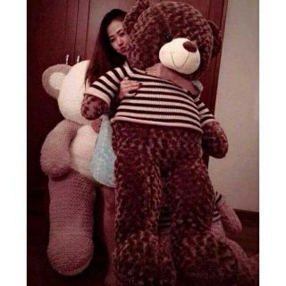 [Mã TOYFSS7 hoàn 20K xu đơn 50K] Gấu teddy 1m6