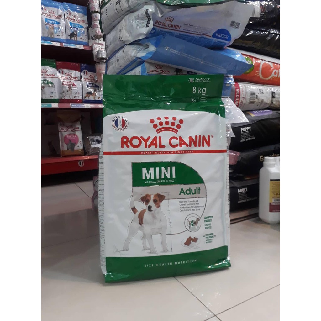2kg(❁´◡`❁)ROYAL CANIN MINI ADULT Dành cho chó Mini (cân nặng tối đa dưới 10kg) đang trong lứa tuổi  từ 10 tháng tuổi &gt;