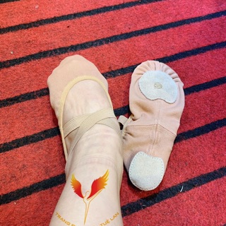 Giày múa Ballet wx06