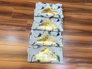 Bộ nỉ khủng long HM