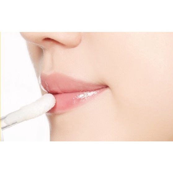 Dầu dưỡng môi mật ong và sữa APIEU 5g