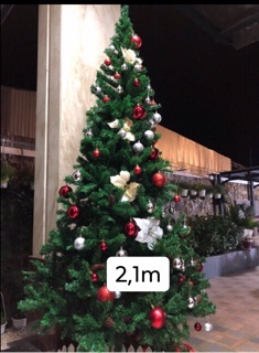 CÂY THÔNG NOEL 1M2,1M5,1M8
