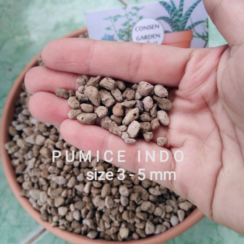 1 Kg Đá Pumice/ Đá Lông Vũ Trồng Sen Đá, XR