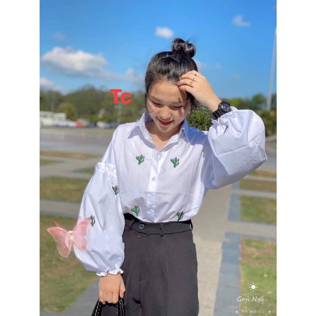 Áo sơmi xương rồng