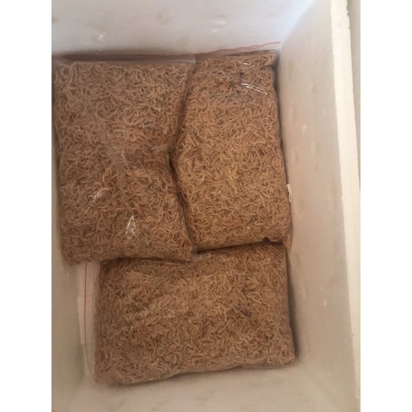 Tép Moi loại 1 | BigBuy360 - bigbuy360.vn