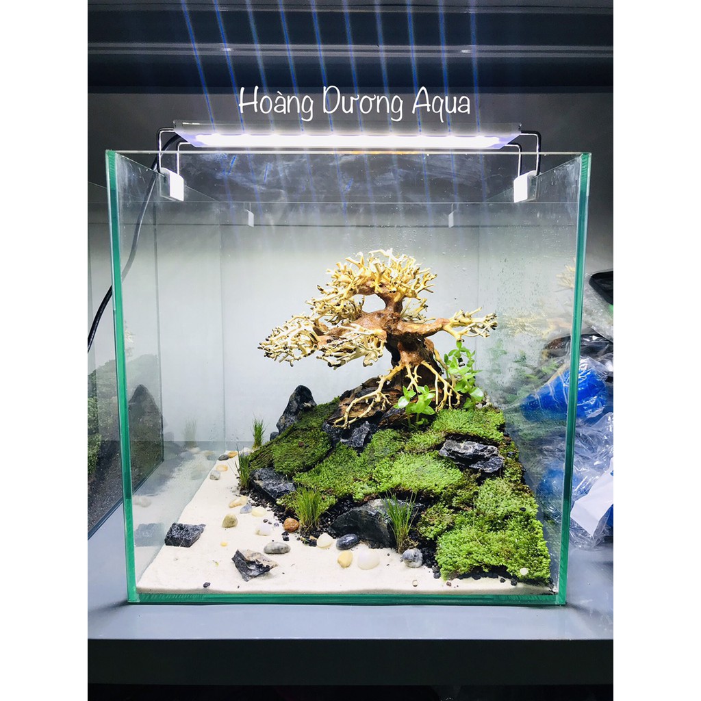 CÁT TRẮNG TRANG TRÍ BỂ CÁ CẢNH - Túi 500gr, 1Kg