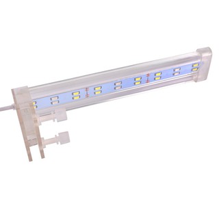 Bóng Đèn Led Lắp Trang Trí cho Bể Cá LED D30 đẹp, Tiết Kiệm Điện Sử dụng Bền