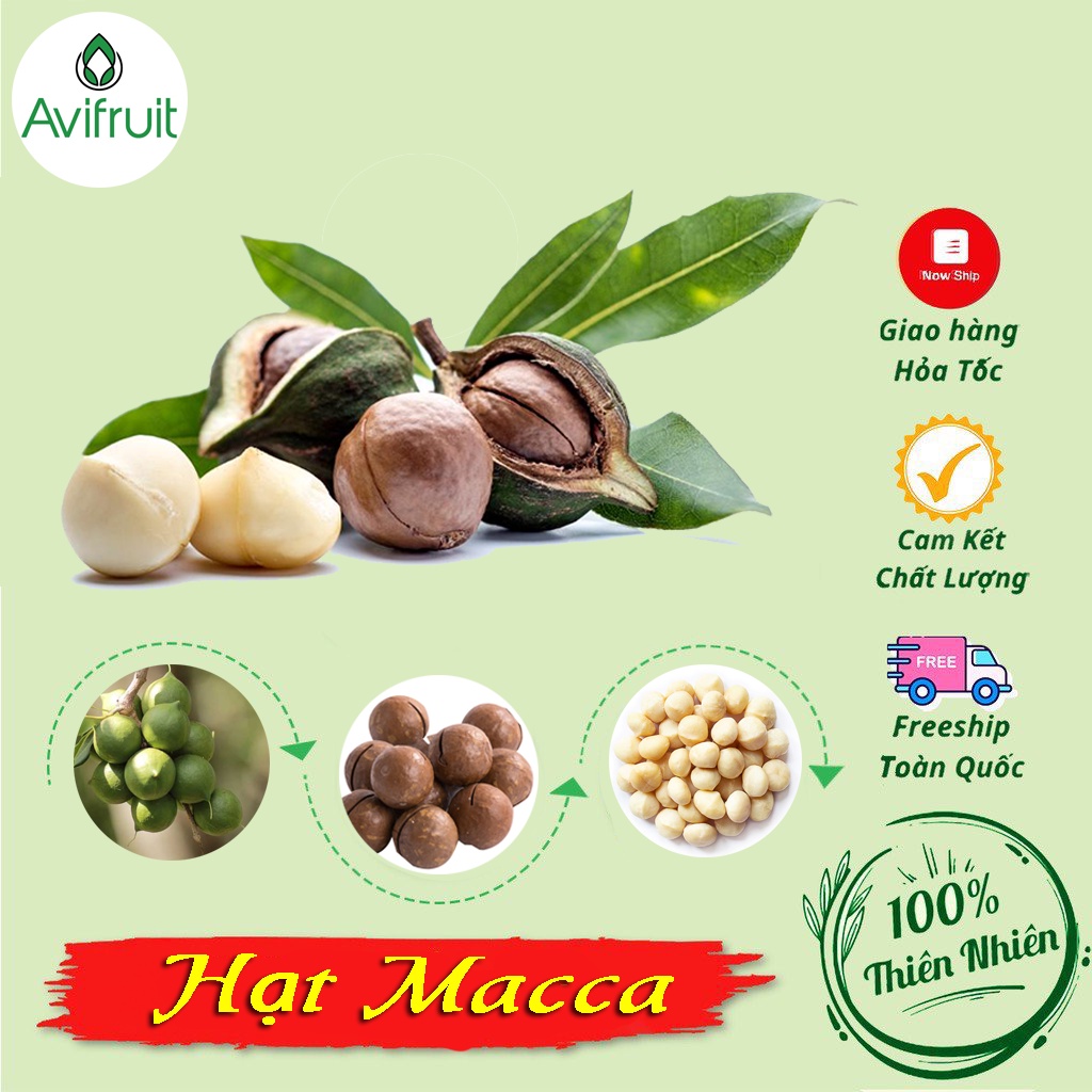 Hạt Macca Đắk Lắk Sạch Nứt Vỏ, Hạt Macca Tách Vỏ Avifruit, Hạt Macca Giống Úc, Nguyên Hạt, Thơm Ngon