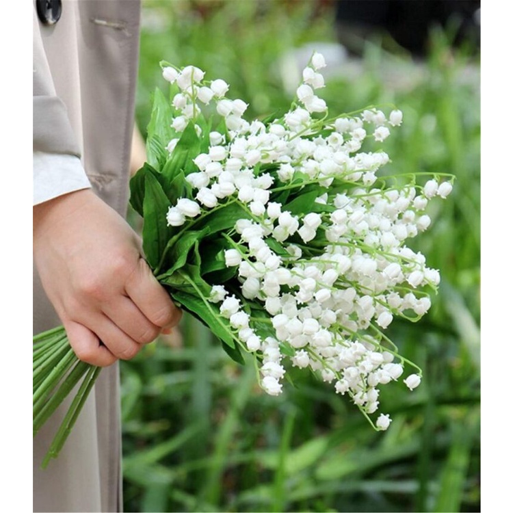 20 Hạt Giống hoa linh lan Nhiều Màu - loài hoa thơm nhất thế giới mix màu
