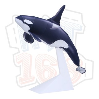 Mô hình giấy động vật Cá Voi sát thủ ver 2