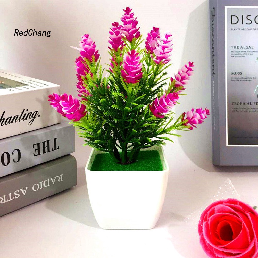 ♧Phụ Kiện Chuyên Dụng Dành Cho Fzhh Fzhh♧1 Cây Thông Nhân Tạo Hình Nón Trang Trí Nhà Cửa