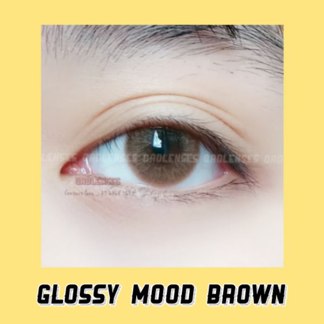 Glossy Mood Brown _ Qadlenses _ Lens _ Kính áp tròng