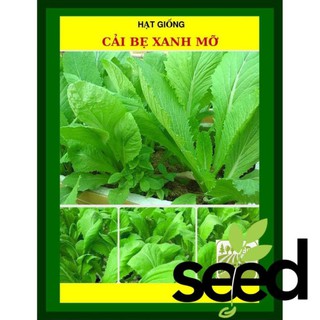 [GIỐNG CHỊU NHIỆT] 50G - Hạt Giống Cải Bẹ Xanh Mỡ