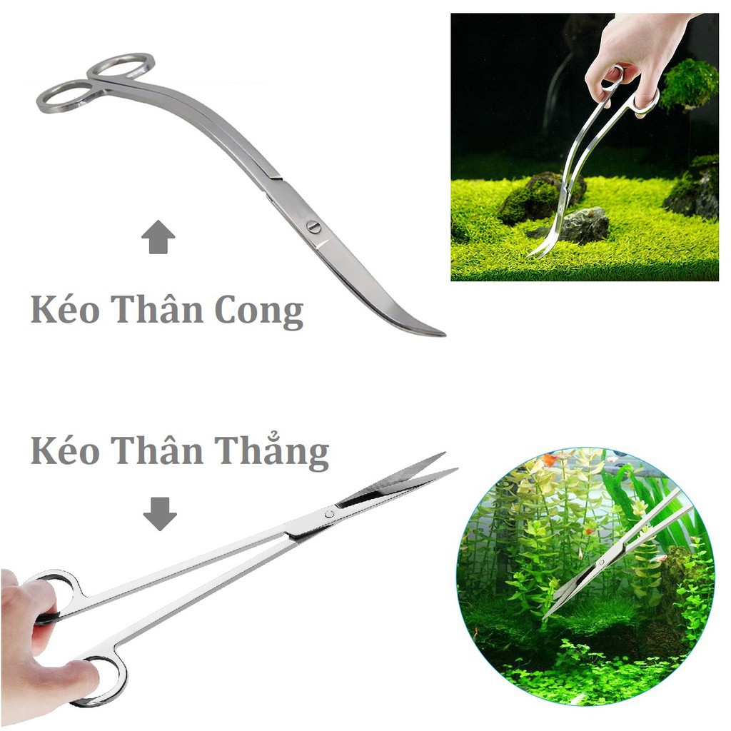 ✂ Dụng Cụ Kéo Cắt Tỉa Cây Cảnh - Phụ Kiện Hồ Thủy Sinh, Hồ Cá, Tép Cảnh Giá Cực Tốt