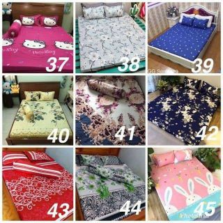 Ga giường đẹp 2-2.2m