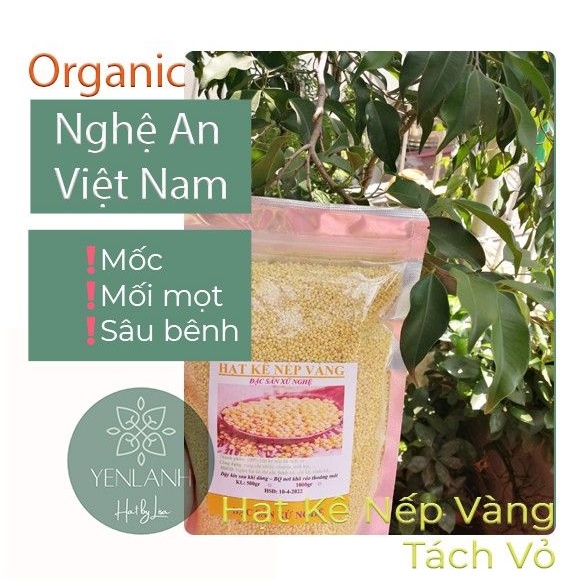 Hạt kê nếp vàng hữu cơ 100gr-200gr-500gr Yenlanhnatural