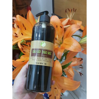 Combo 6 - 10 - 20 chai nhựa pet cao cấp 500ml nắp vòi ấn nhựa đen hoặc trắng
