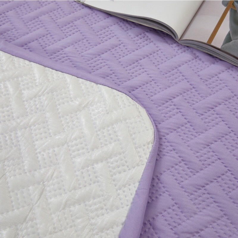 Ga chống thấm cotton thế hệ mới hàng dày loại 1( tặng kèm 2 vỏ gối)