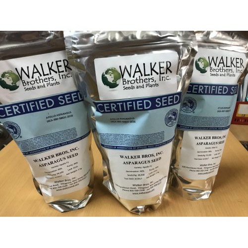 Hạt Giống Măng Tây Xanh Grand F1 gói 20 hạt