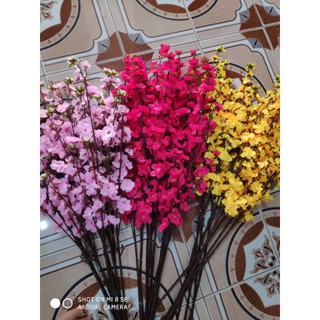 hoa anh đào cành 5 nhánh