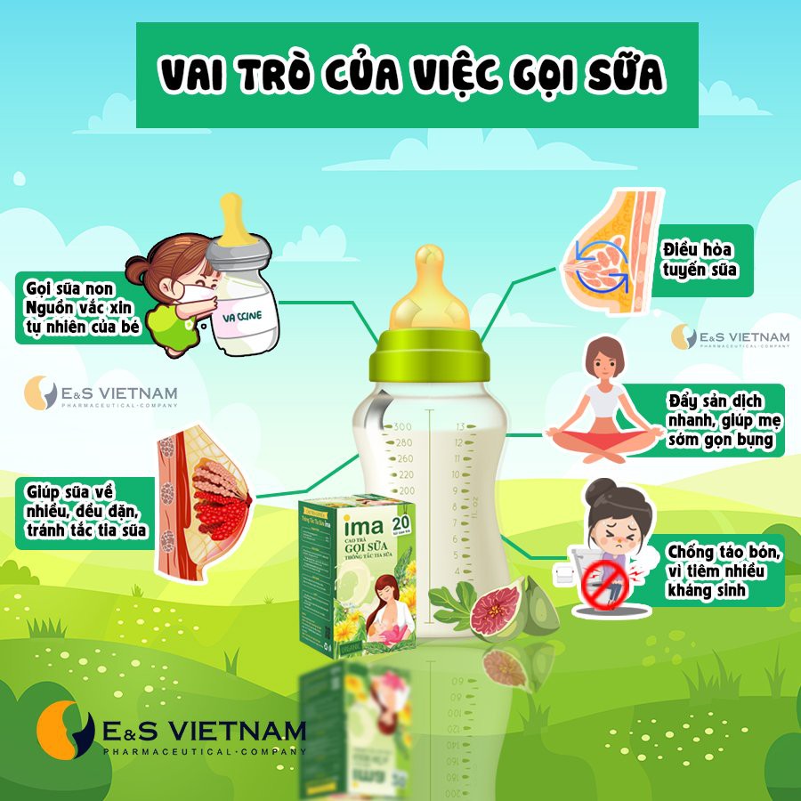 Trà Gọi Sữa Sau Sinh Mổ - Thông Tắc Tia Sữa IMA Cho Mẹ Sau Sinh - Mát Sữa, Đẩy Sản Dịch, Chống Táo Bón Cho Mẹ và Bé