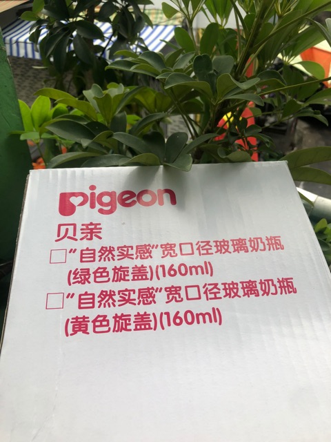 [ĐỦ SIZE] Bình Sữa Thủy Tinh Pigeon Cổ Rộng Cao Cấp 160ml/240ml