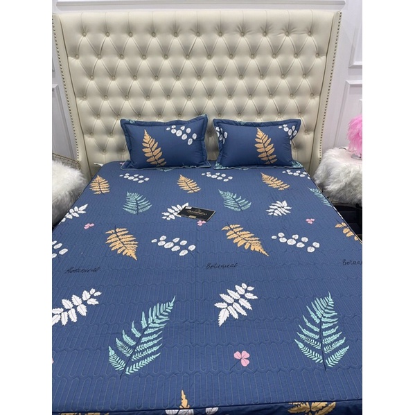 Bộ ga gối trần bông BAMBILOO cotton nhật