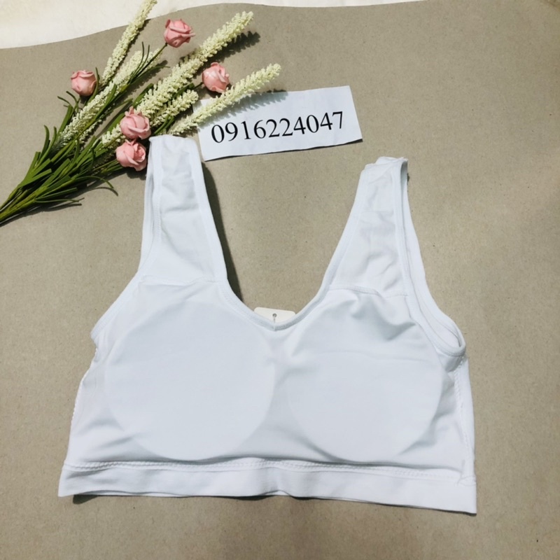 Áo lá học sinh cotton, áo thể thao tập gym chất đẹp