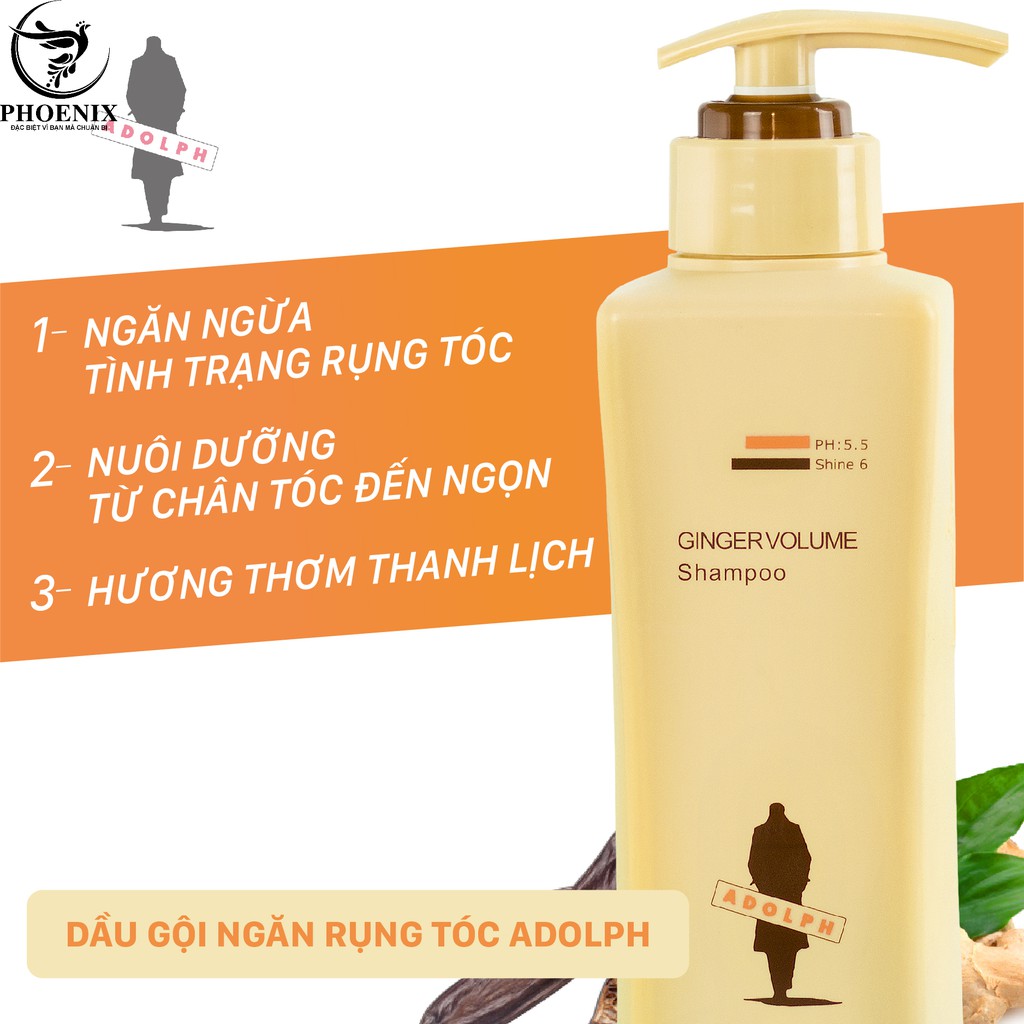 Dầu Gội Cao Cấp Gừng ADOLPH Ngăn Ngừa Rụng Tóc và Chăm Sóc Mái Tóc Đẹp Thơm Lâu_PHOENIX (Hàng Có Sẵn)