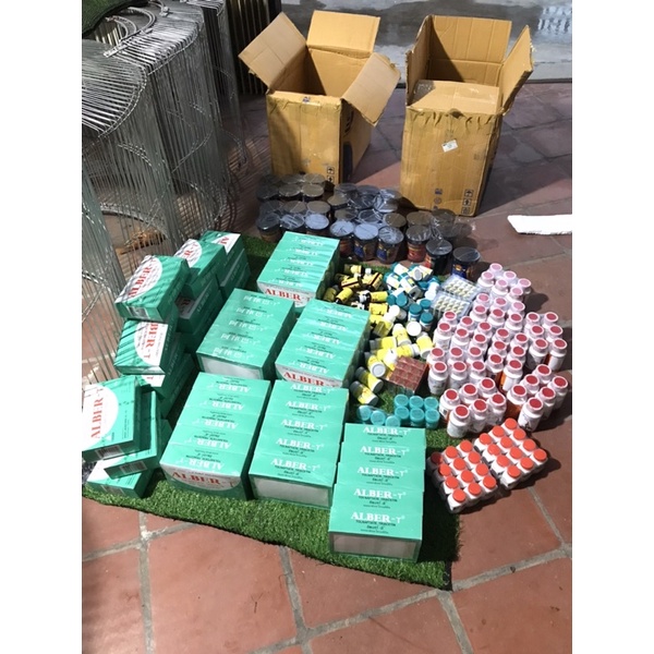 Mốc bôi thái lan, bôi mốc lác cho gà đá ALBER-T tặng / đơn