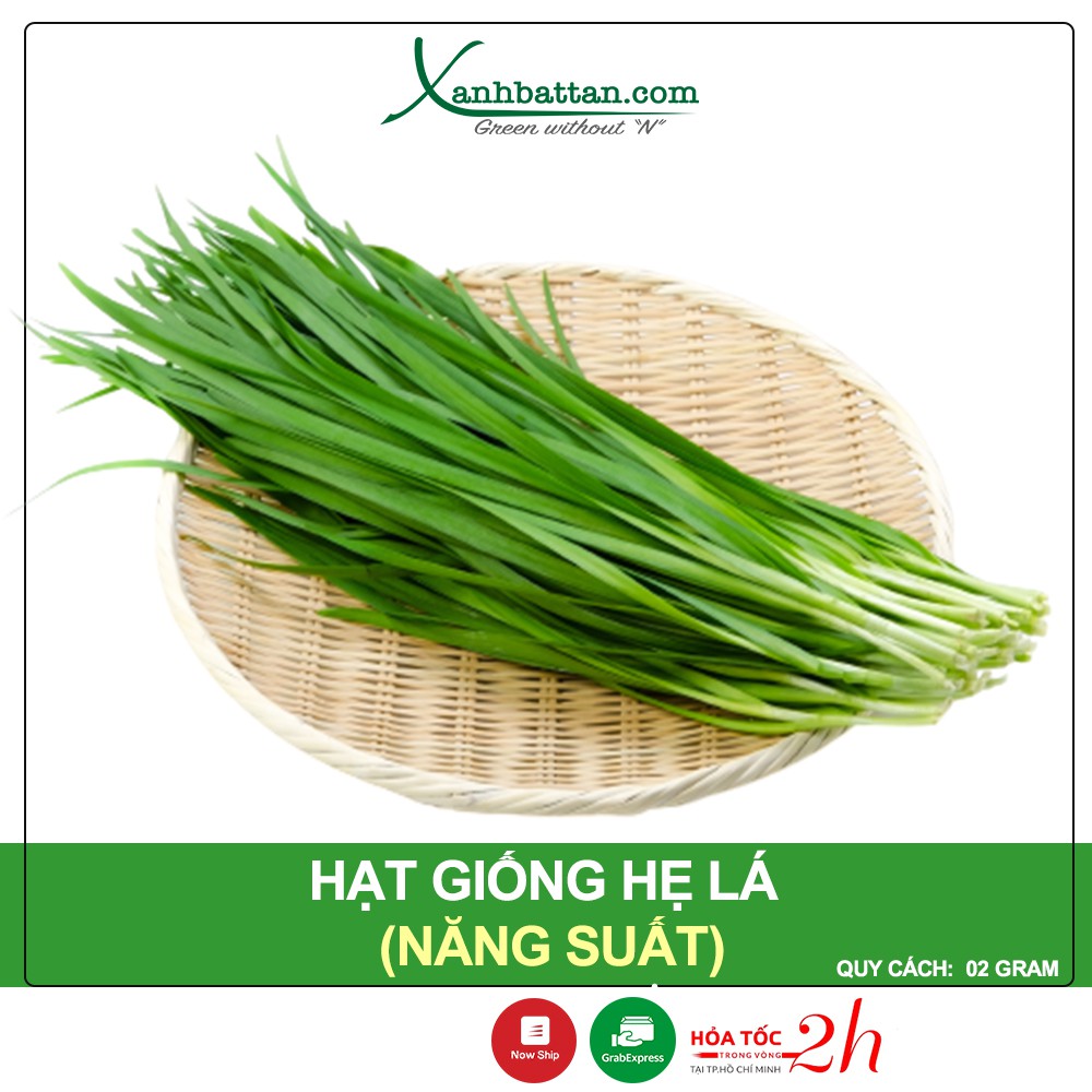 Hạt Giống Hẹ Cao Sản Phú Nông Gói 2 Gram