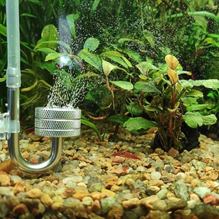 Thiết bị khuếch tán khí co2 co2 cho bể cá