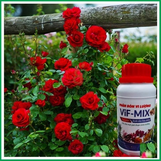250ml Phân Bánh Dầu Thủy Phân