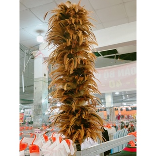 CHỔI LÔNG GÀ -HÀNG VN