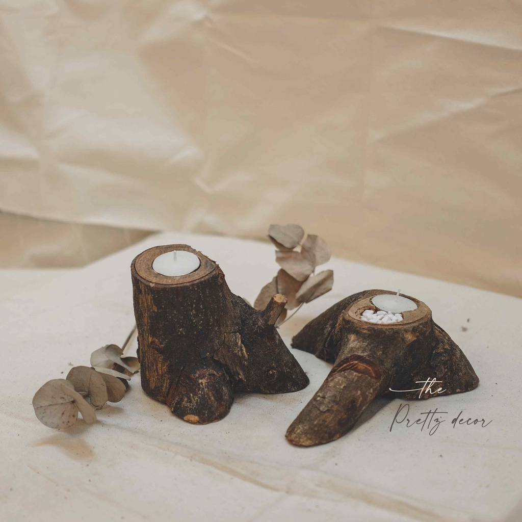 Chậu Khúc Gỗ Tự Nhiên Dáng Cổ Thụ Trồng Cây, Decor, Trang Trí Vintage