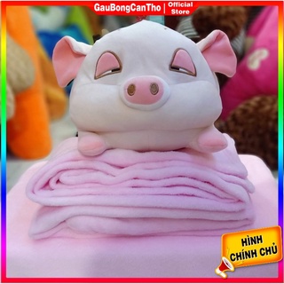 Gấu bông kèm chăn heo mắt híp dễ thương