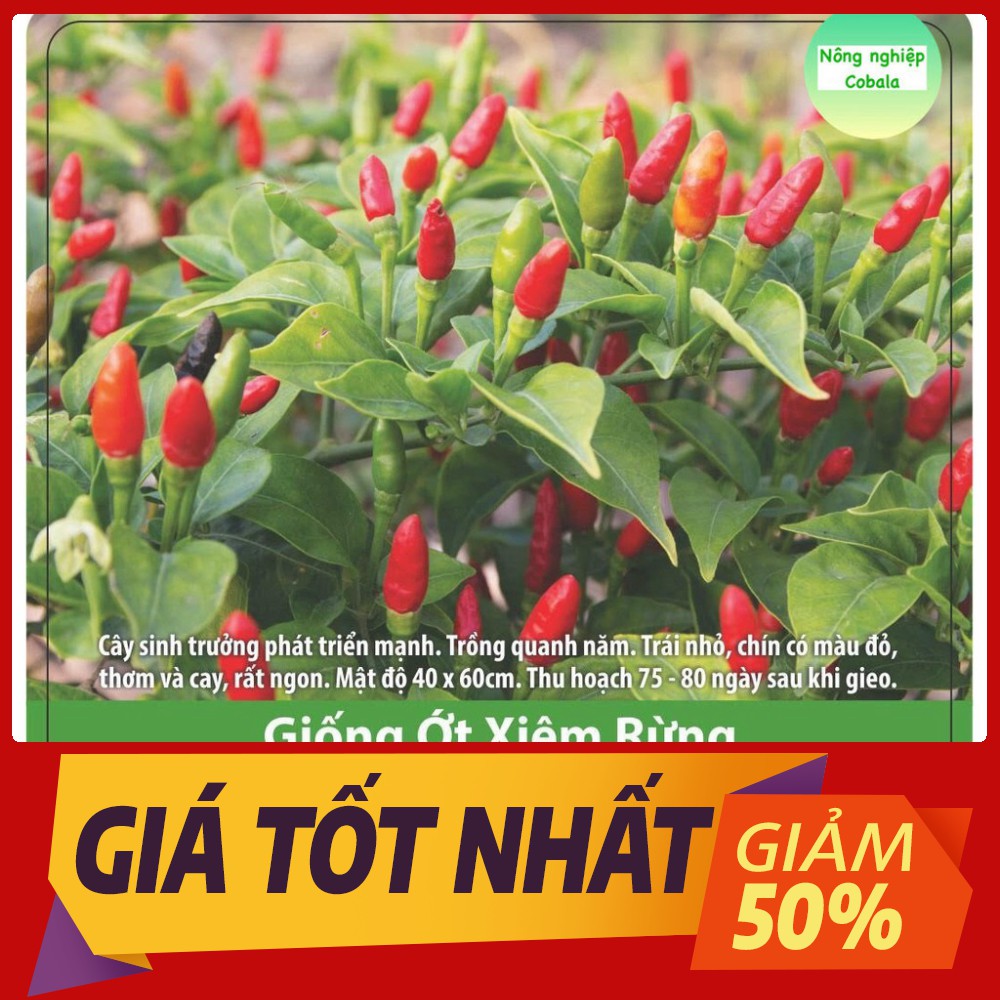 Hạt Giống Ớt Xiêm Rừng (0.2gr)