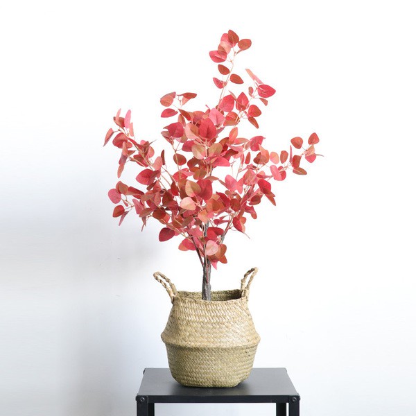 Cây Giả - Cây Bạch đàn lá đỏ Giả - Cao 80cm