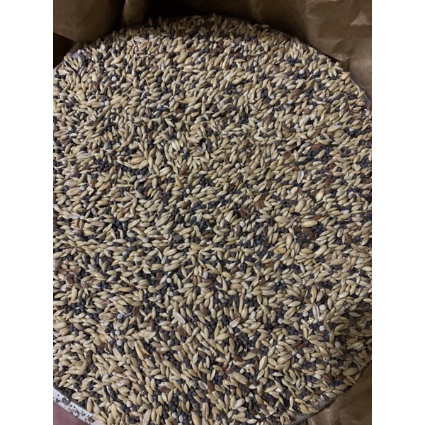 Hạt trộn yến hót hiệu Manitoba chiết từ bao 20kg