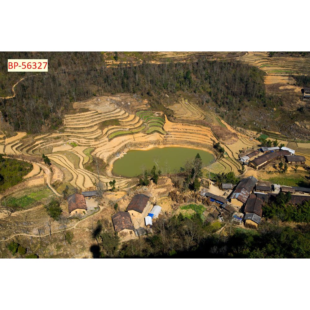 Tranh dán tường Việt Nam 3D Miễn Phí chèn tên riêng Quán, chèn chữ và logo theo yêu cầu.