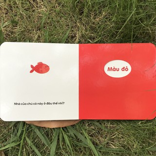 Ô Cửa Diệu Kì - Màu Sắc