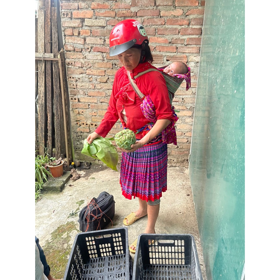 Quả Na Rừng Tây Bắc  99k/1Kg