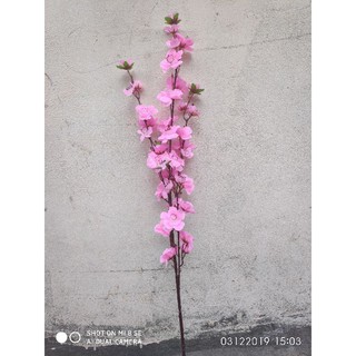 hoa anh đào 5 nhánh