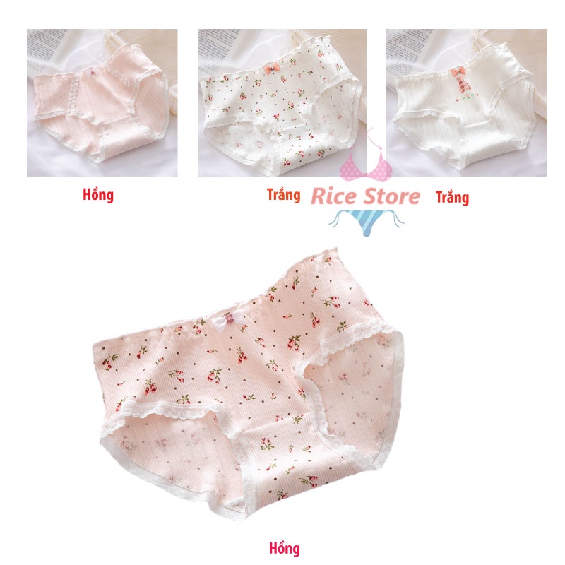 Quần lót nữ cotton cạp thấp viền ren mềm mại thoáng mát KIMCHIBIKINI chip cao cấp sexy kháng khuẩn thông hơi QL040