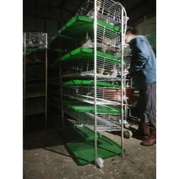 Khay Hứng Phân Chim